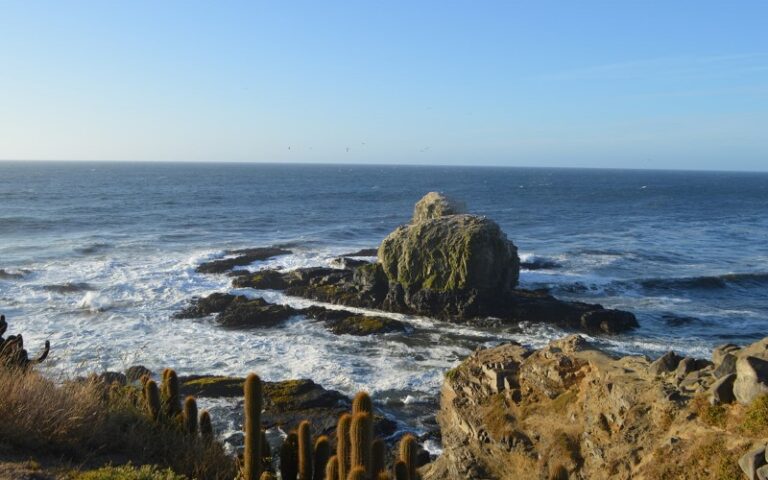 que-banco-hay-en-pichilemu