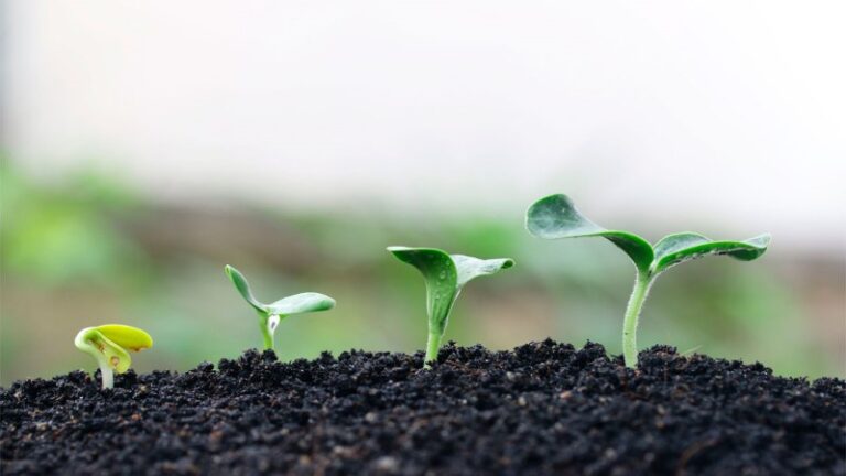 emprender-en-agricultura