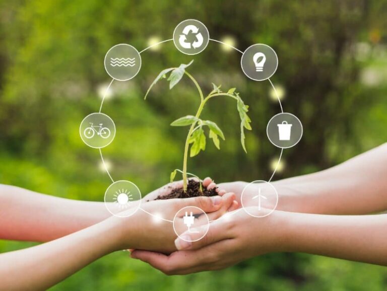 emprendimiento-sustentable